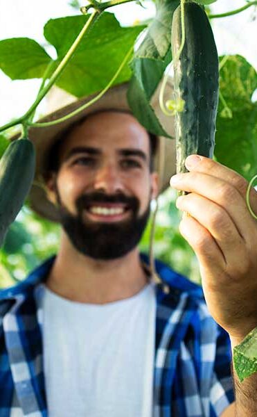 organic4 organic4